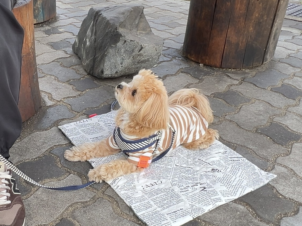 お勉強