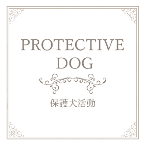 PROTECTIVE DOG